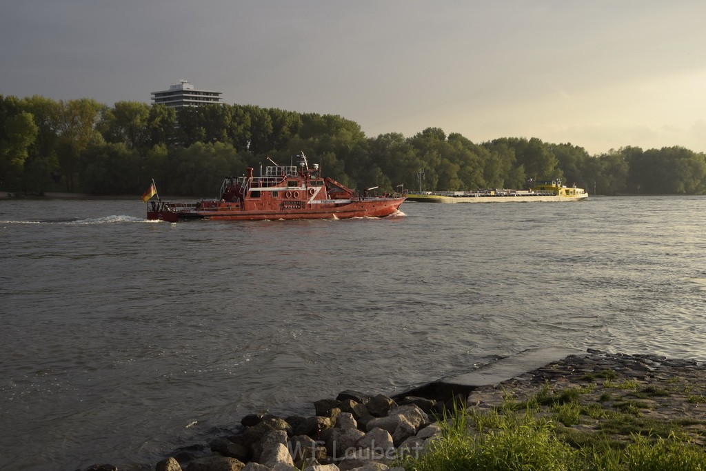 PRhein Koeln Porz Ensen Schwimmer untergegangen P169.JPG - Miklos Laubert